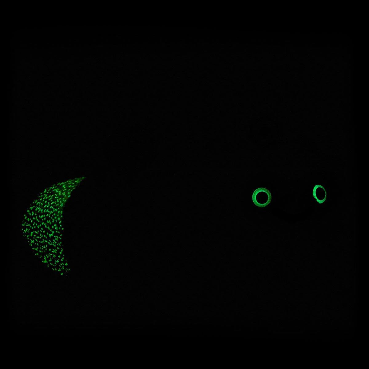 Glow-in-the-Dark Lightning Bug Stuffed Animal | BAB - US 0721